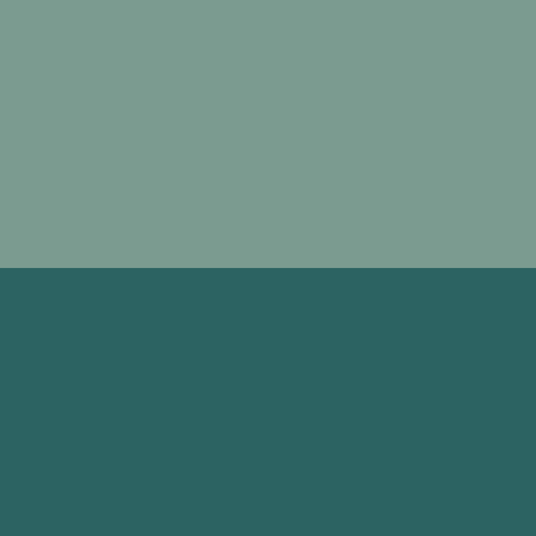 Verde menta/Verde escuro